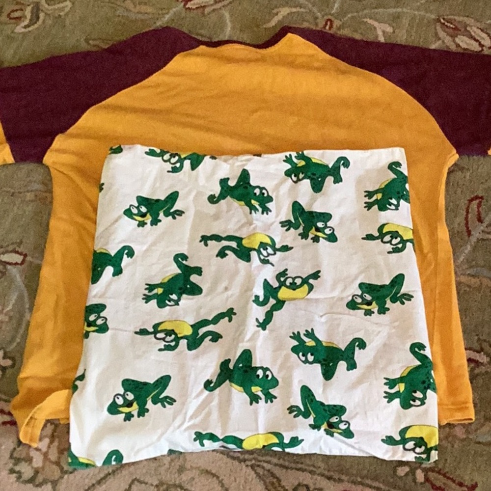 🐸 OOAK Frog PillowCase  18" X 18"
